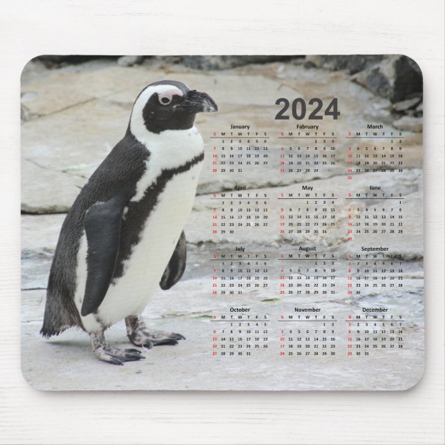 Tapis De Souris Beau Penguin noir et blanc 2024 Calendrier (Devant)