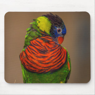 Tapis De Souris Beau perroquet coloré