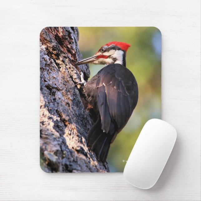 Tapis De Souris Beau pic pilé sur l'arbre (Avec souris)