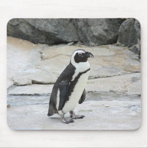 Tapis De Souris Beau pingouin noir et blanc sur les rochers