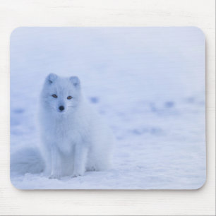 Tapis De Souris Beau renard arctique