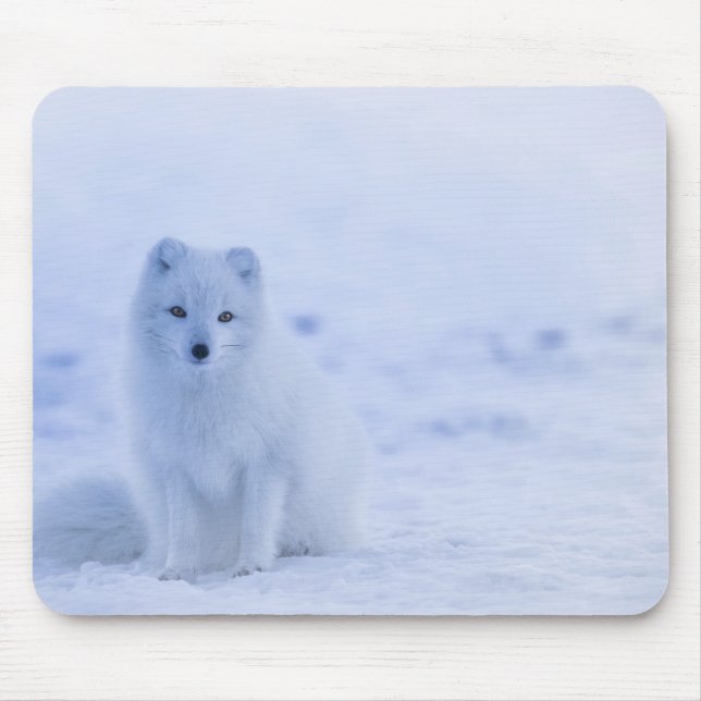 Tapis De Souris Beau renard arctique (Devant)