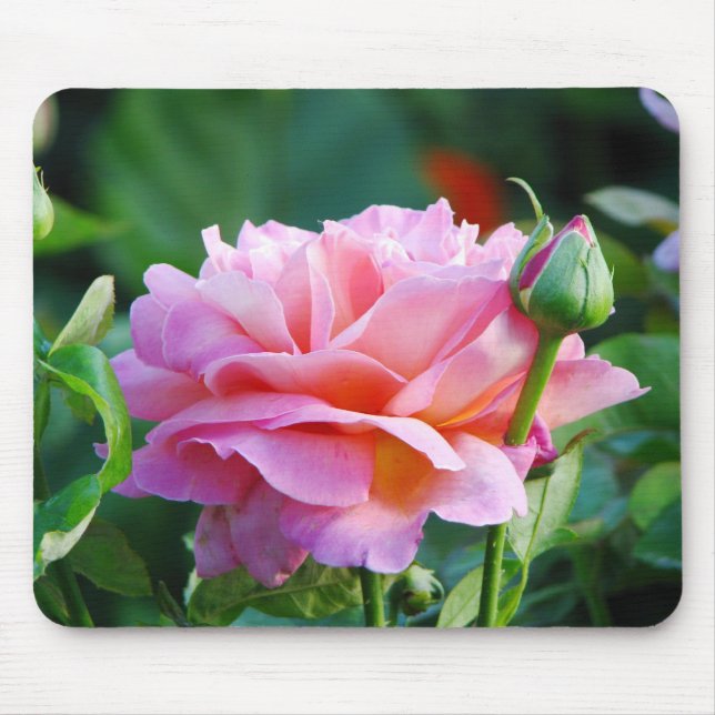 Tapis De Souris Beau rose Mousepad de rose (Devant)
