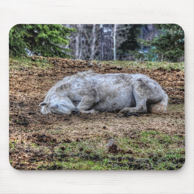 Tapis De Souris Beau Sleeping White Mare Ranch Horse (Devant)