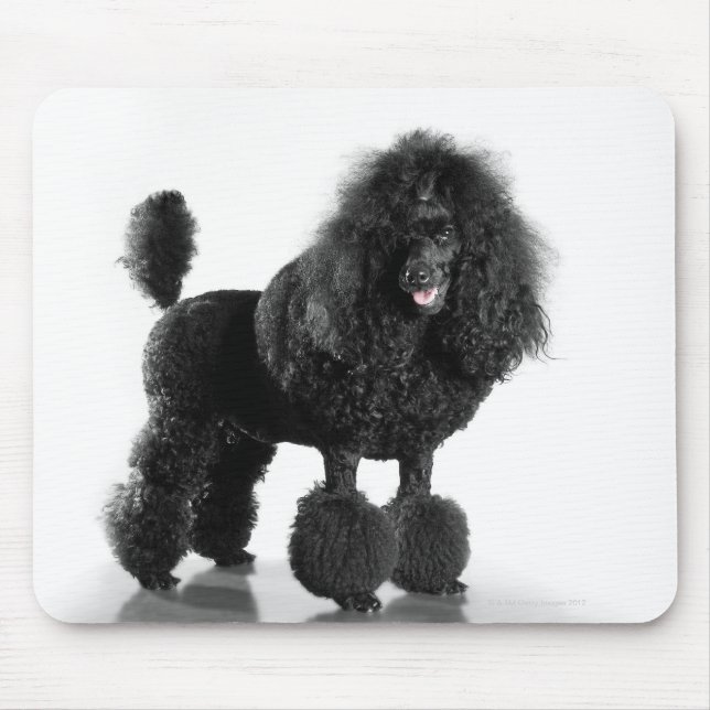 Tapis De Souris Beau, taillé, noir, corps complet de caniche (Devant)