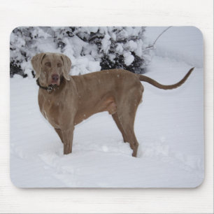 Tapis De Souris Beau Weimaraner dans la neige