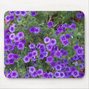 Tapis De Souris Beaucoup de fleurs phiox violet foncé