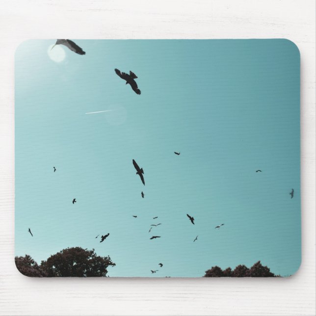 Tapis De Souris Beaucoup d'oiseaux et un controle (Devant)