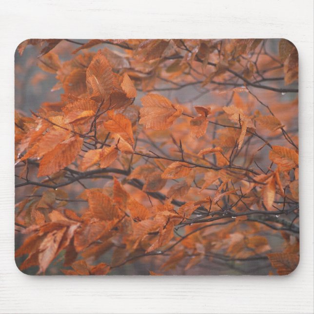 Tapis De Souris Beauté d'automne (Devant)