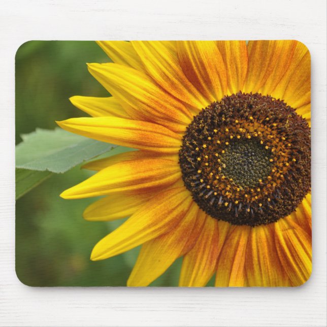 Tapis De Souris Beauté des tournesols (Devant)
