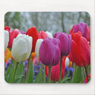 Tapis De Souris Beauté des tulipes colorées