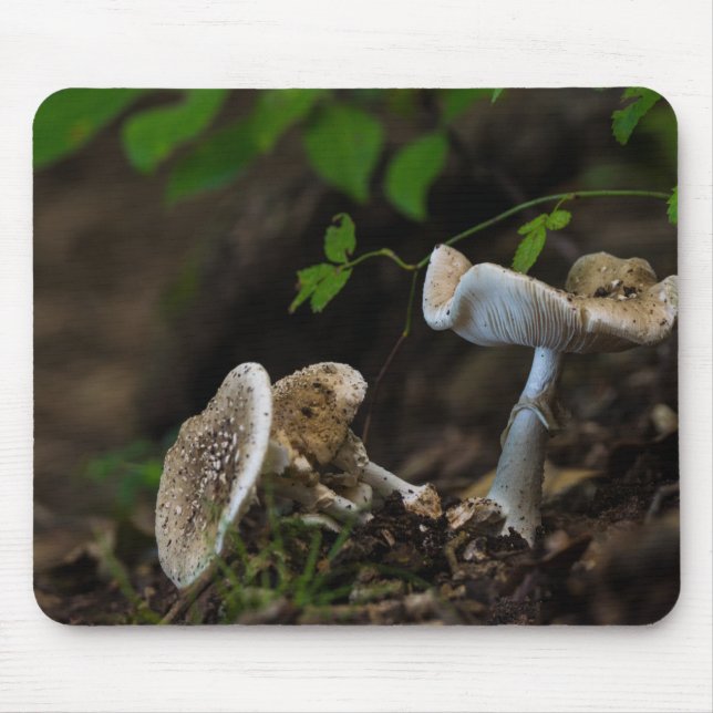 Tapis De Souris Beauté douteuse (Devant)