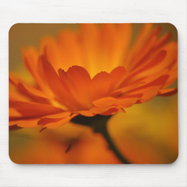 Tapis De Souris Beauté orange (Devant)