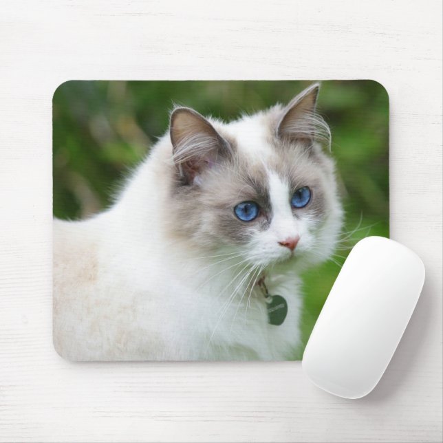 Tapis De Souris Beautiful Blue Eyed Kitten (Avec souris)