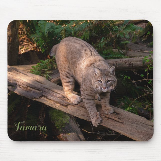 Tapis De Souris Beautiful Bobcat Wildlife Lover Nom personnalisé (Devant)