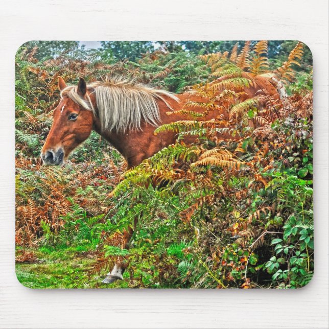 Tapis De Souris Beautiful Equines Cheval-lover's Gift (Devant)