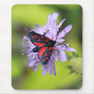 Tapis De Souris Beautiful moth
