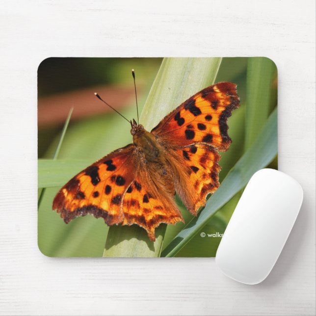 Tapis De Souris Beautiful Orange Satyr Comma Butterfly (Avec souris)