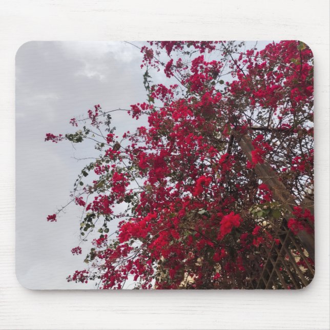 Tapis De Souris Beautiful red Bougainvillea Flowers & Cloudy Sky  (Devant)
