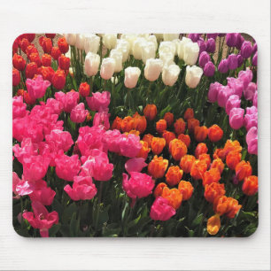 Tapis De Souris Beautiful Tulip