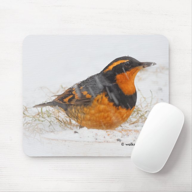 Tapis De Souris Beautiful Varied Thrush Songbird in the Snow (Avec souris)