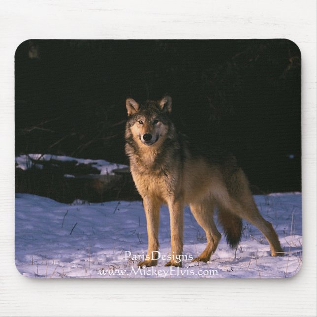 Tapis De Souris beaux animaux du sauvage (Devant)