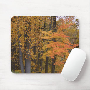 Tapis De Souris Beaux arbres de automne colorés et Mousepad Feuill