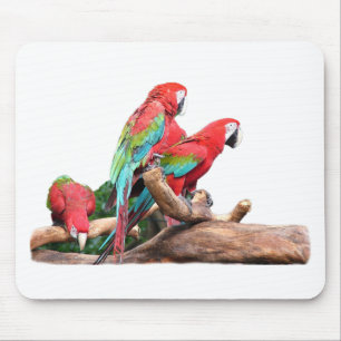 Tapis De Souris beaux perroquets rouges et bleus