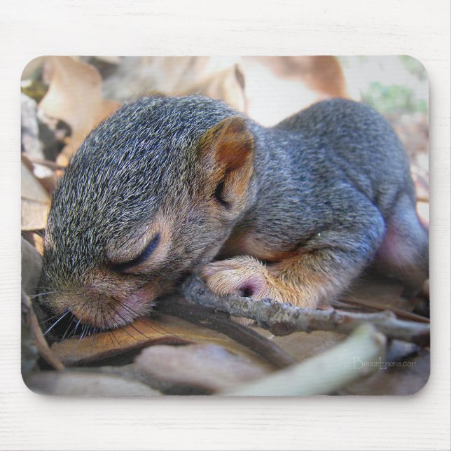 Tapis De Souris Bébé écureuil dormant (Devant)