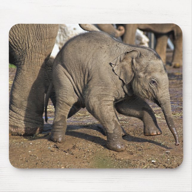 Tapis De Souris Bébé éléphant (Devant)