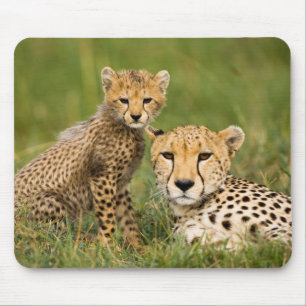 Tapis De Souris Bébé guépard et parent dans l'herbe