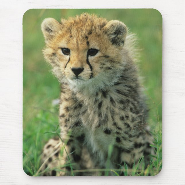 Tapis De Souris Bébé guépard flou (Devant)