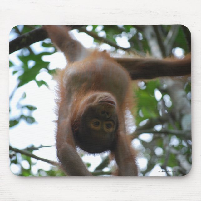 Tapis De Souris Bébé mignon : Animaux sauvages de jungle (Devant)