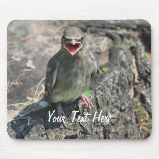 Tapis De Souris Bébé Oiseau Nature Photographie Mousepad