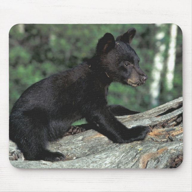 Tapis De Souris Bébé Ourson Noir (Devant)