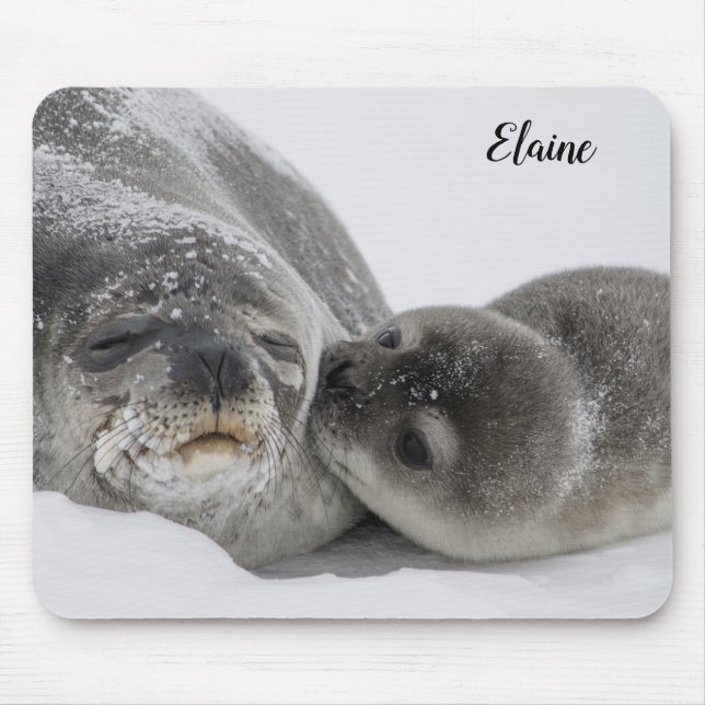 Tapis De Souris Bébé phoque mignon et maman (Devant)