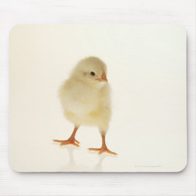 Tapis De Souris Bébé poulet (Devant)