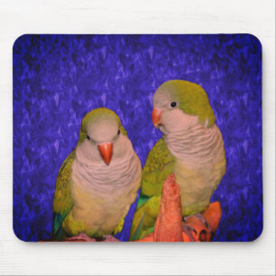 Tapis De Souris Bébé Quaker Parrots Animal