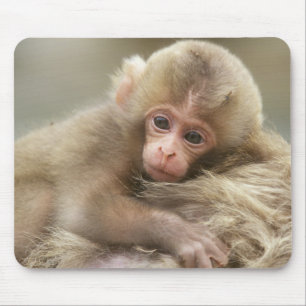 Tapis De Souris Bébé singe des neiges, Jigokudani, Nagano, Japon 2