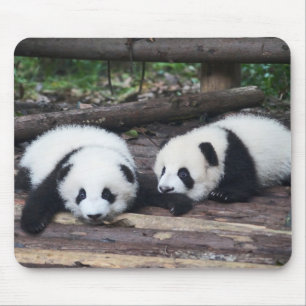 Tapis de souris Bébés pandas mignons
