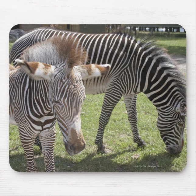 Tapis De Souris Bedfordshire, Angleterre (Devant)