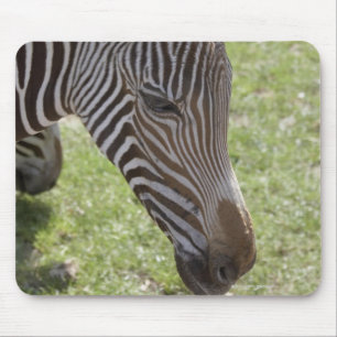 Tapis De Souris Bedfordshire, Angleterre