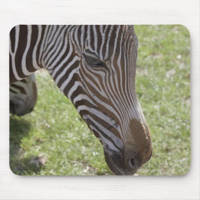 Tapis De Souris Bedfordshire, Angleterre (Devant)