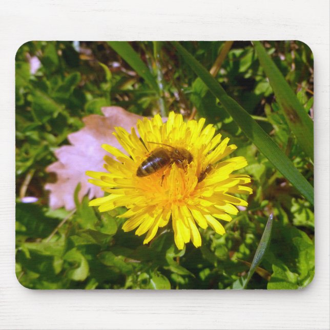 Tapis De Souris Bee and dandelion (Devant)