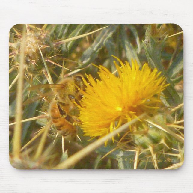 Tapis De Souris Bee and Star Thistle (Centaurea solstitialis) (Devant)