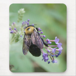 Tapis De Souris Bee-autiful Bee