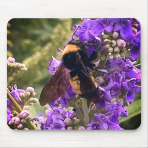 TAPIS DE SOURIS BEE CAUSE YOU ARE SPECIAL MOUSE PAD