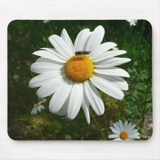 Tapis De Souris Bee on Daisy Alaskan Summer Nature (Devant)
