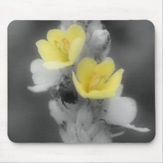 Tapis De Souris Beetle sur Mullein Fleur Noir Blanc Mousepad