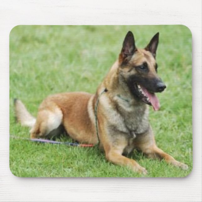 Tapis De Souris Belge Malinois Mousepad (Devant)